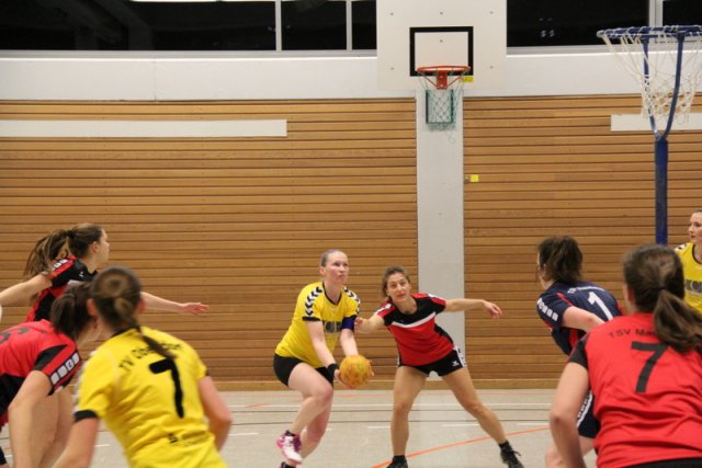 2016_01_23 Landesliga Frauen